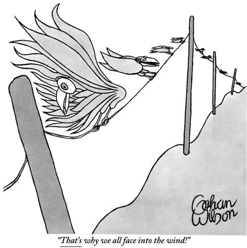"That's why we all face into the wind!"