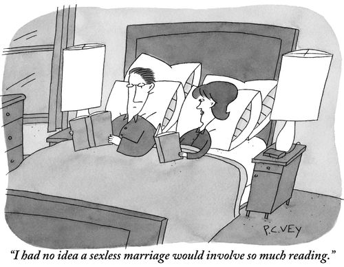 "I had no idea a sexless marriage would involve so much reading."