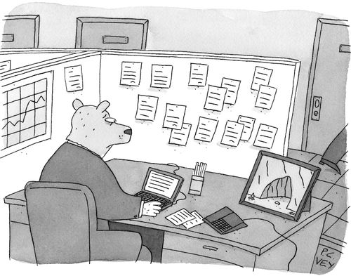 Bear Office Worker