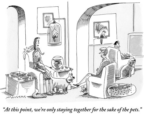 "At this point, we're only staying together for the sake of the pets."