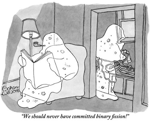 "We should never have committed binary fission!"