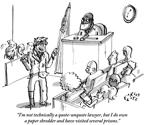 "I'm not technically a quote-unquote lawyer, but I do own a paper shredder and have visited several prisons."