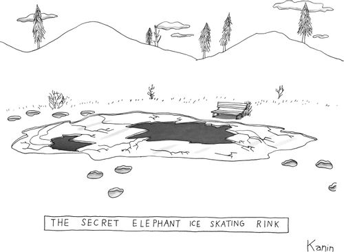 "THE SECRET ELEPHANT ICE SKATING RINK"
