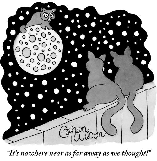 "It's nowhere near as far away as we thought!"