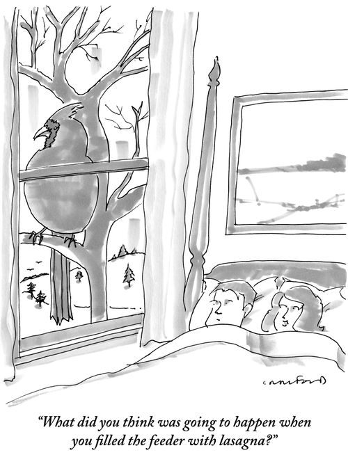 "What did you think was going to happen when you filled the feeder with lasagna?"