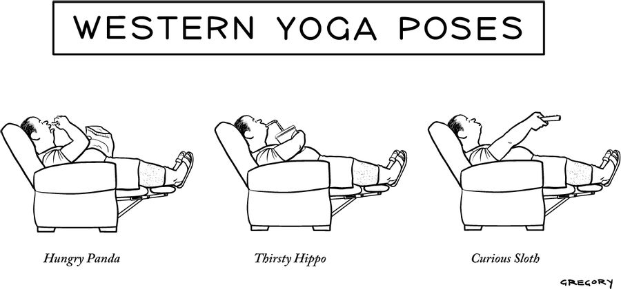Hungry Panda Thirsty Hippo Curious Sloth
