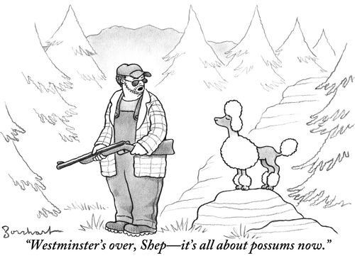 "Westminster's over, Shep-it's all about possums now."