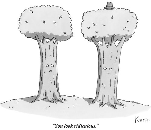 "You look ridiculous."
