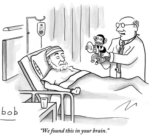 "We found this in your brain."