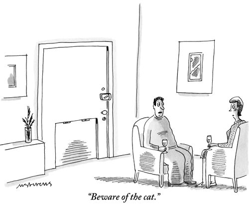 "Beware of the cat."