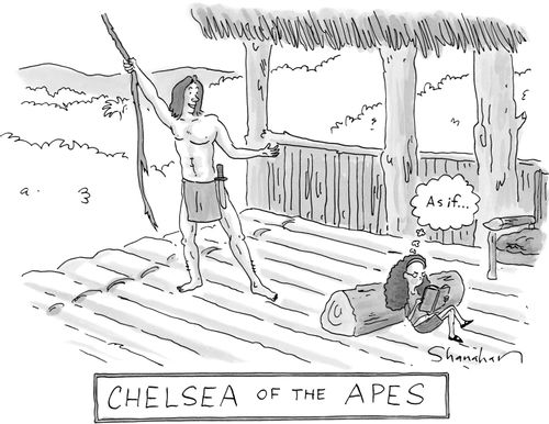 Chelsea of the Apes