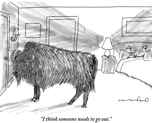 "I think someone needs to go out."