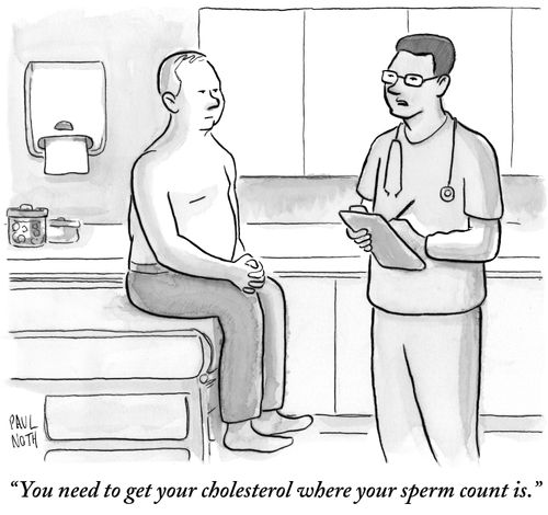 "You need to get your cholesterol where your sperm count is."
