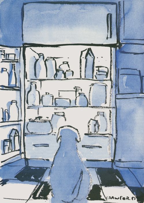 The Open Refrigerator