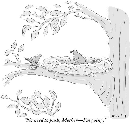 "No need to push, Mother—I'm going."