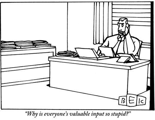 "Why is everyone's valuable input so stupid?"