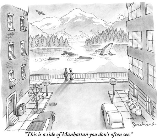 "This is a side of Manhattan you don't often see."