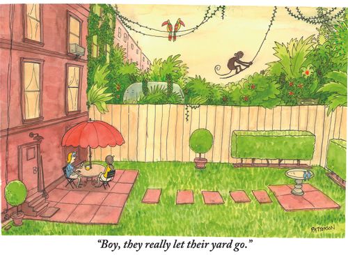 "Boy, they really let their yard go."
