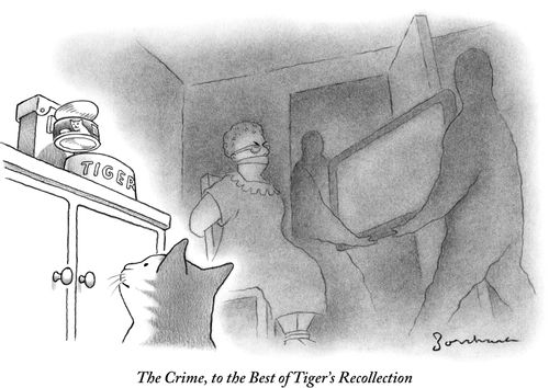 The Crime, to the Best of Tiger's Recollection