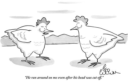 "He ran around on me even after his head was cut off."