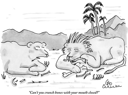 "Can't you crunch bones with your mouth closed?"