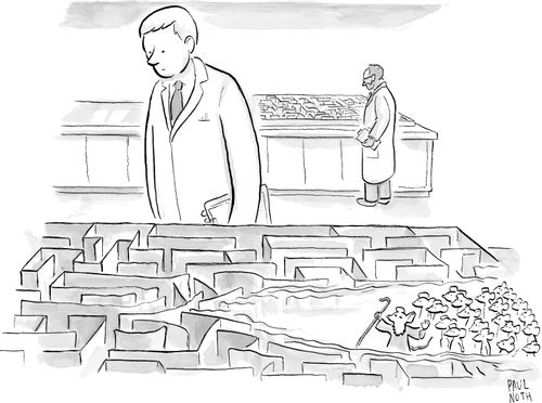The Parting of the Red Maze