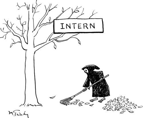 Intern