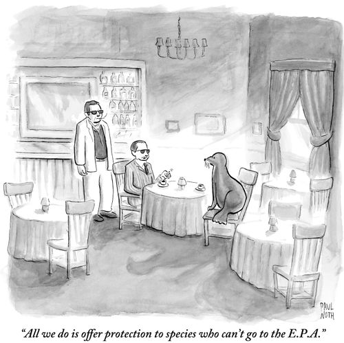 "All we do is offer protection to species who can't go to the E.P.A."