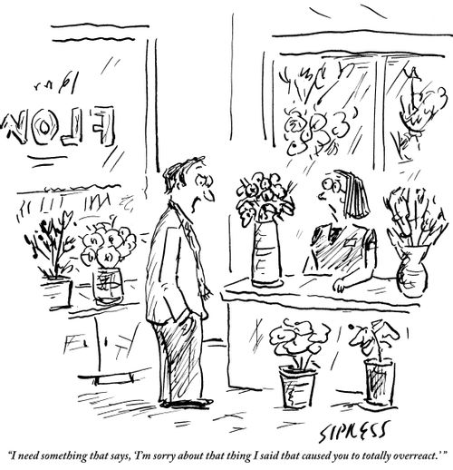 "I need something that says, 'I'm sorry about that thing I said that caused you to totally overreact.' "