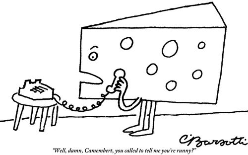"Well, damn, Camembert, you called to tell me you're runny?"