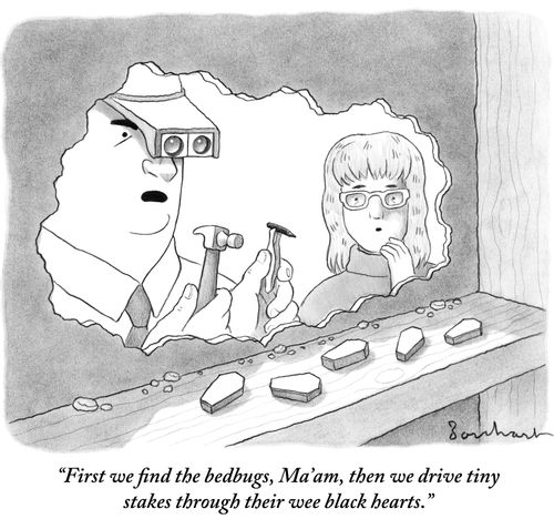 "First we find the bedbugs, Ma'am, then we drive tiny stakes through their wee black hearts."