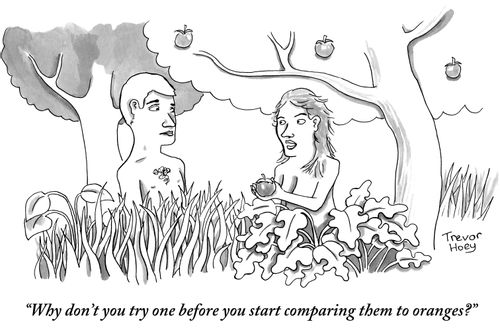 "Why don't you try one before you start comparing them to oranges?"