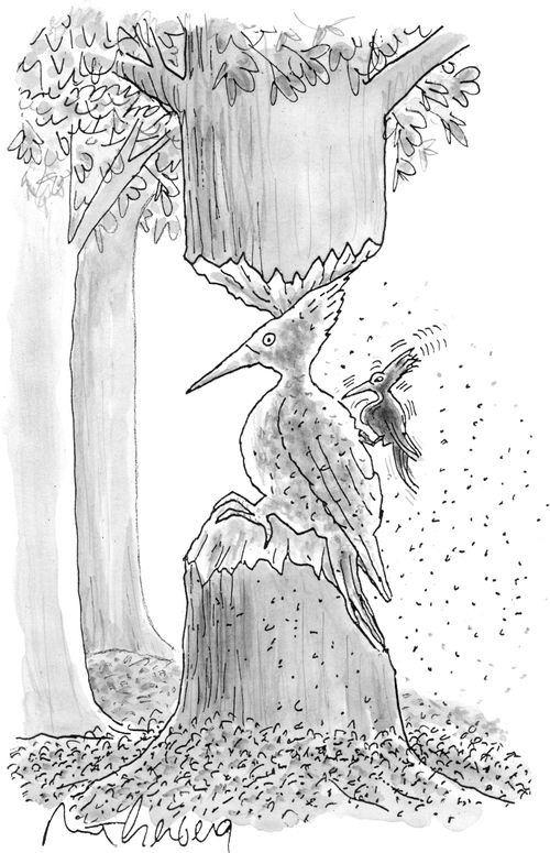 A woodpecker fashions a statue of a woodpecker.