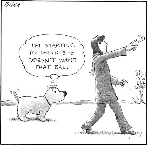 "I'm starting to think she doesn't want that ball."