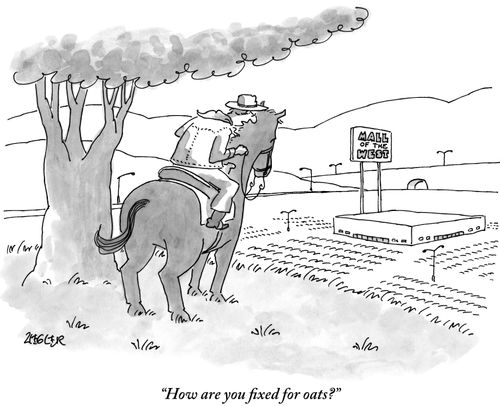"How are you fixed for oats?"