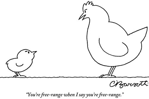 "You're free-range when I say you're free-range."