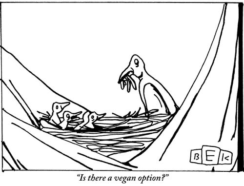"Is there a vegan option?"