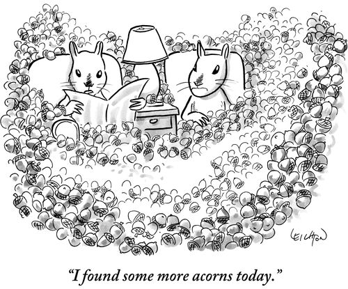 "I found some more acorns today."