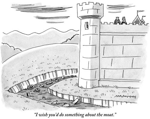 "I wish you'd do something about the moat."