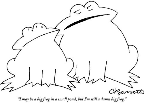 "I may be a big frog in a small pond, but I'm still a damn big frog."