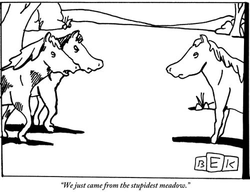 "We just came from the stupidest meadow."
