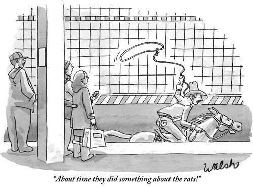 "About time they did something about the rats!"