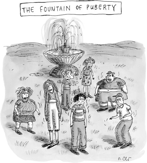 The fountain of puberty