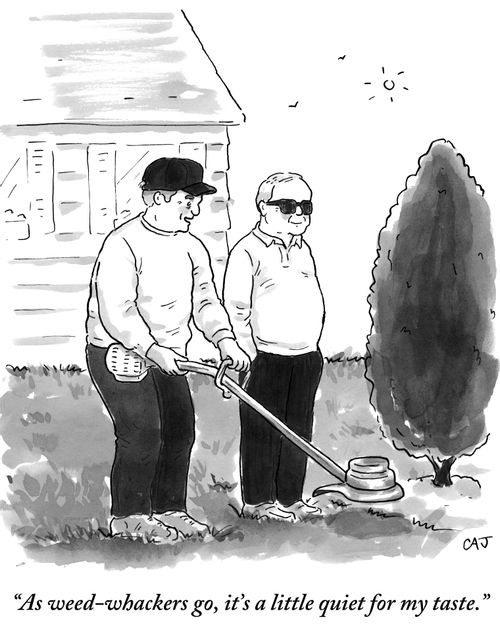 "As weed-whackers go, it's a little quiet for my taste."