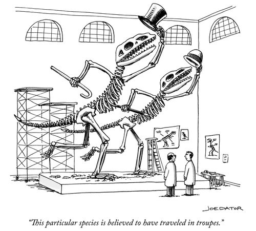 "This particular species is believed to have traveled in troupes."