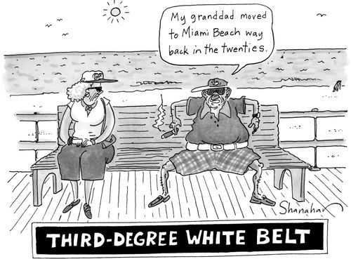 Third-Degree White Belt