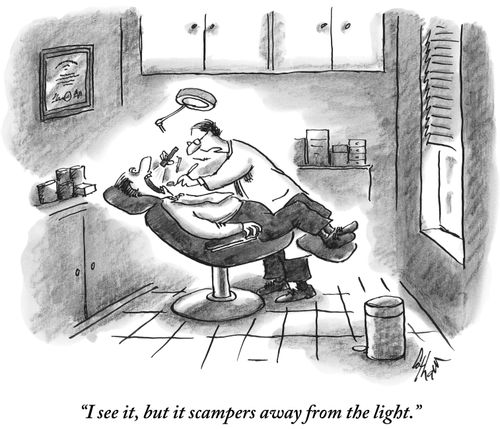 "I see it, but it scampers away from the light."