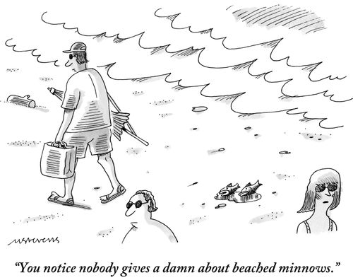 "You notice nobody gives a damn about beached minnows."