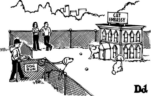 A building in the middle of a dog run labeled "Cat Embassy".