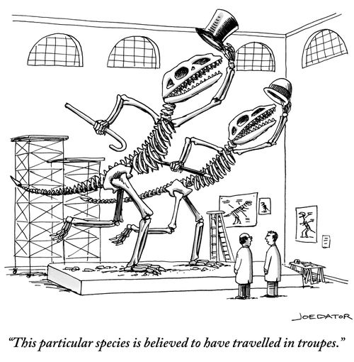 "This particular species is believed to have travelled in troupes."